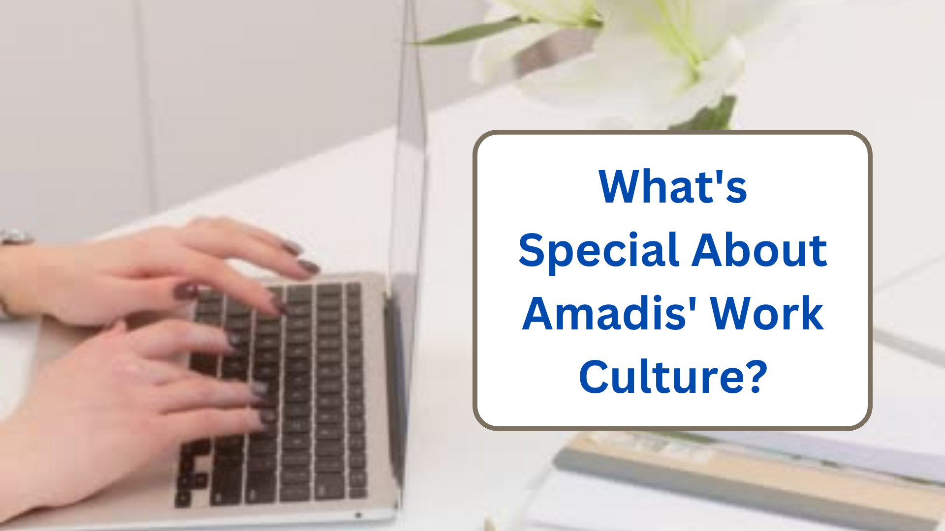 Amadis Work Culture